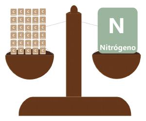 Carbono y nitrógeno o cafés y verdes: el balance adecuado para el compostaje.  Parte 1.